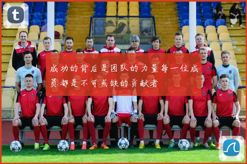 成功的背后是团队的力量每一位成员都是不可或缺的贡献者