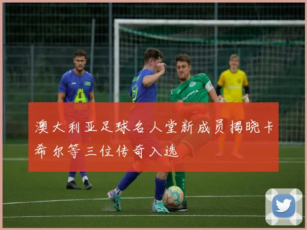 澳大利亚足球名人堂新成员揭晓卡希尔等三位传奇入选