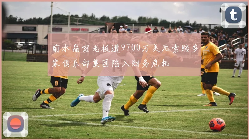 前水晶宫老板遭9700万美元索赔多家俱乐部集团陷入财务危机